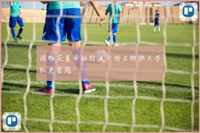 诺维茨基率独行侠六场击败热火夺队史首冠