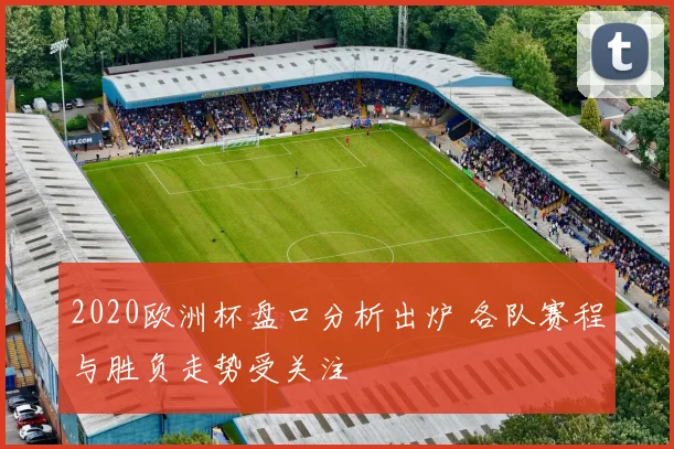 2020欧洲杯盘口分析出炉 各队赛程与胜负走势受关注