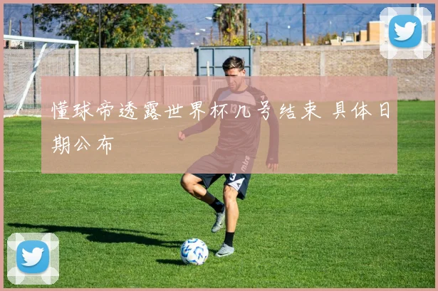 懂球帝透露世界杯几号结束 具体日期公布